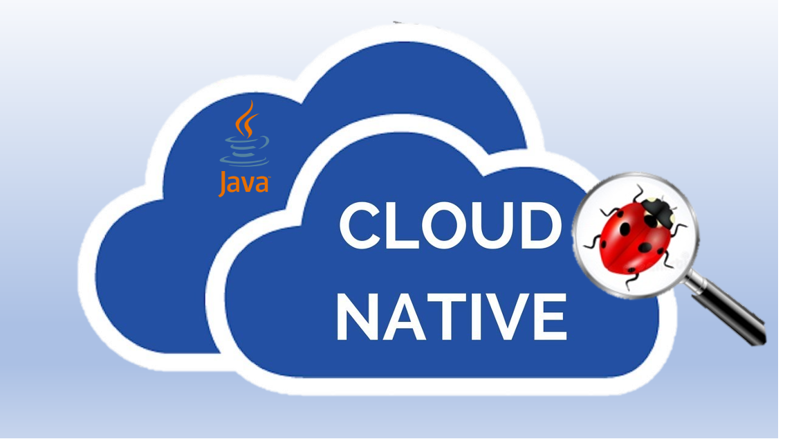 NativeJDB