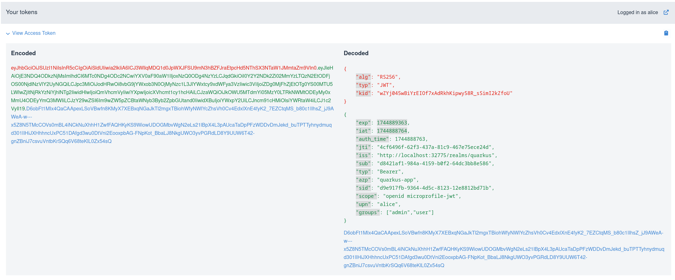 Login and copy access token